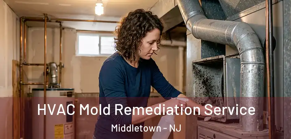 HVAC Mold Remediation Service Middletown - NJ
